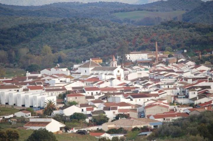 🌿 Preciosa Casa Señorial en el Corazón de la Sierra Norte de Sevilla photo 0