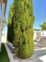 Casa pareada con piscina en el Aljarafe: espacio, luz y confort a 15 minutos de Sevilla photo 0