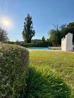 Un legado entre encinas centenarias: finca de 45 ha en Constantina (Sevilla) photo 0