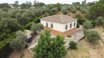 Desconecta en la naturaleza: chalet con gran parcela junto a Doñana y cerca del mar photo 0