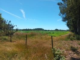 Terreno en venta en Oza dos Ríos (San Pedro) photo 0