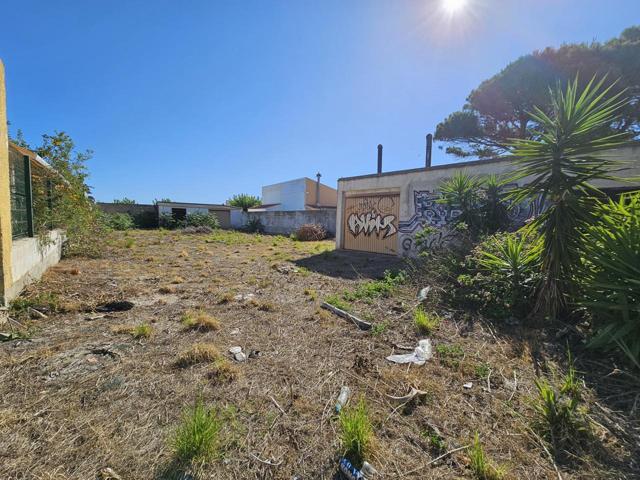 Terreno en venta en Oliva Nova, Valencia photo 0
