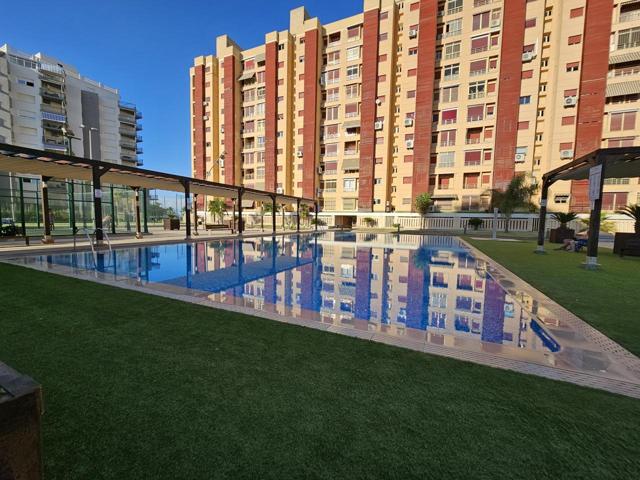 Piso en alquiler en Playa de Gandía photo 0