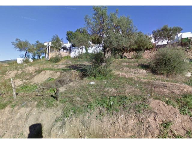 Finca en Algar photo 0