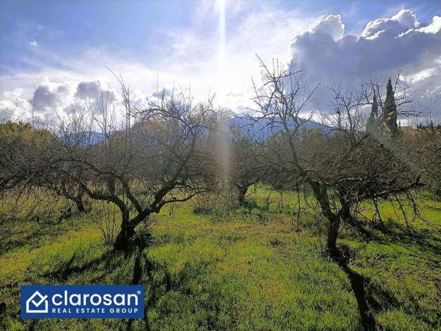 Casa de campo-Masía en Venta en Alhaurin El Grande Málaga photo 0