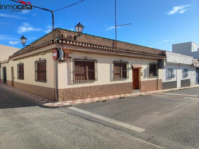 CASA PAREADA DE PLANTA BAJA EN LA ENTRADA DE ALBOLOTE photo 0