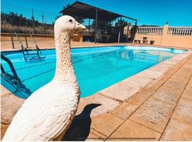CHALET Y FINCA CON PISCINA Y Yeguada photo 0