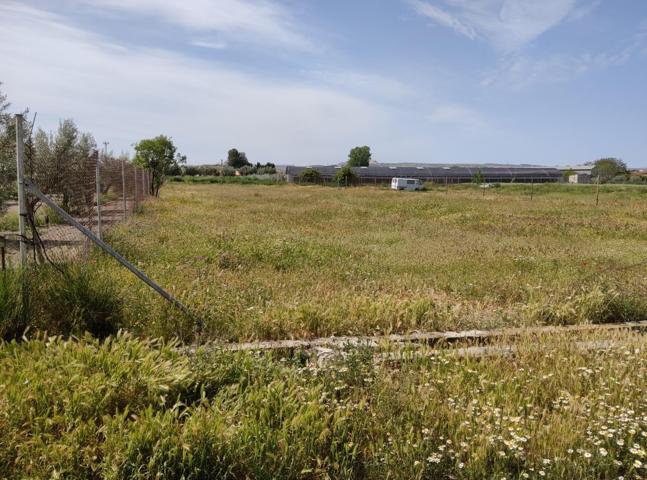 PARCELA RUSTICA EN CULLAR VEGA photo 0