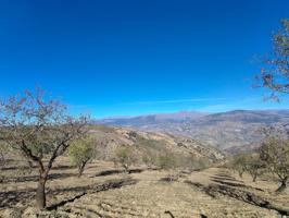 Finca rústica ecológica de almendros a la venta en Cástaras (Granada). Producción certificada, vistas espectaculares y acceso cómodo photo 0