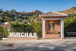 CASA PARA REFORMAR EN MURCHAS!!! photo 0