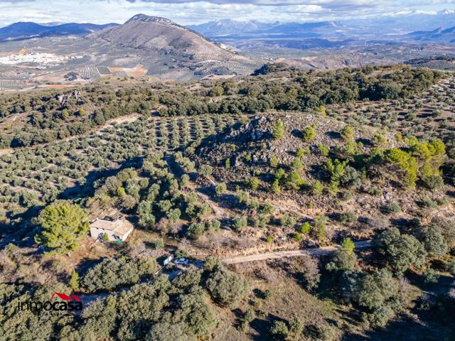 🌿 Oportunidad en Íllora (Granada): Cortijo para reformar con 13.688 m2 de terreno y vistas increíbles!! photo 0