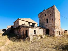 Finca rústica con terreno para renovar en Campos. photo 0