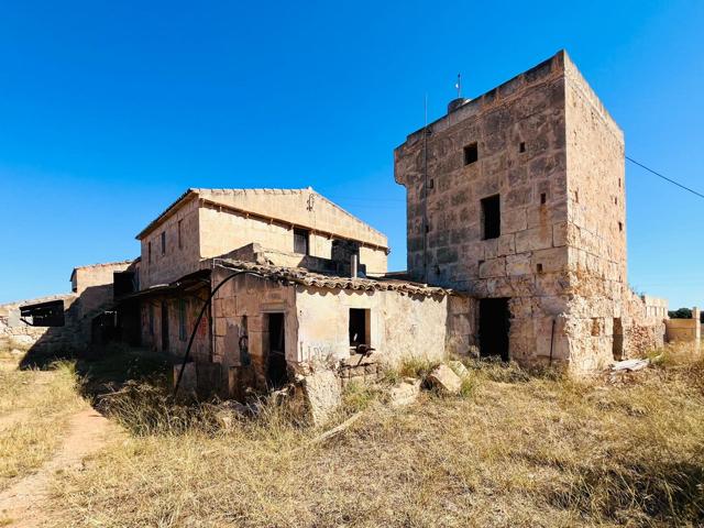 Finca rústica con terreno para renovar en Campos. photo 0