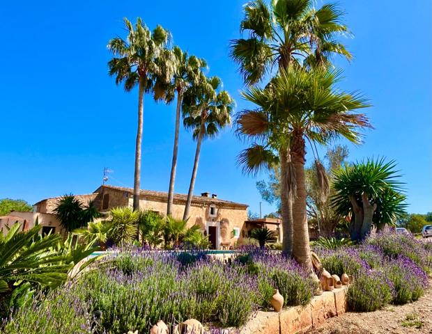 Un Oasis Mediterráneo en Mallorca en alquiler. photo 0