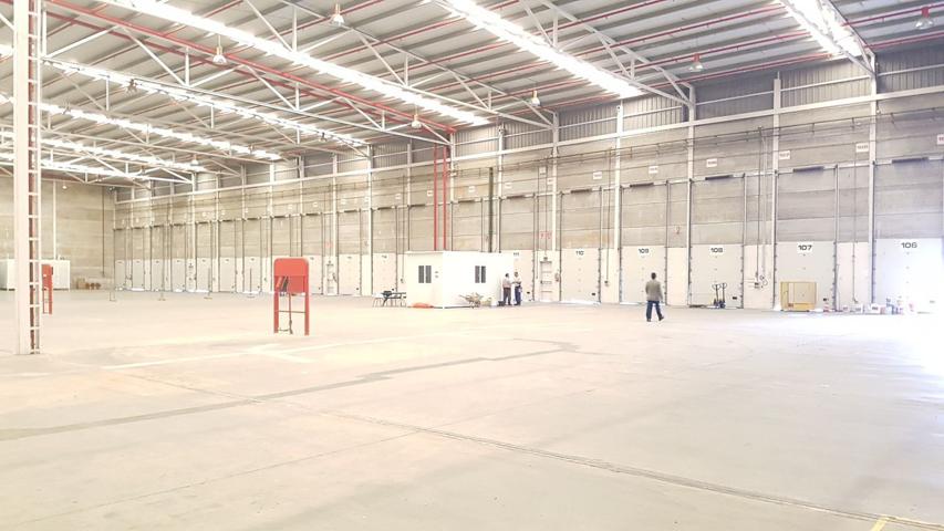 NAVE LOG´SITICA EN ALQQUILER photo 0