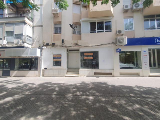 LOCAL COMERCIAL DISPONIBLE EN EDUARDO DATO photo 0