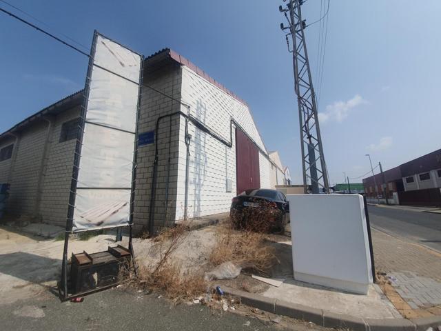 ESTUPENDA NAVE DIÁFANA EN EL PINO photo 0