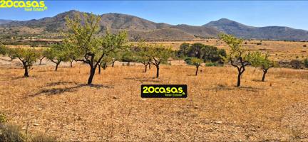 TERRENO AGRICOLO URBANIZABLE photo 0