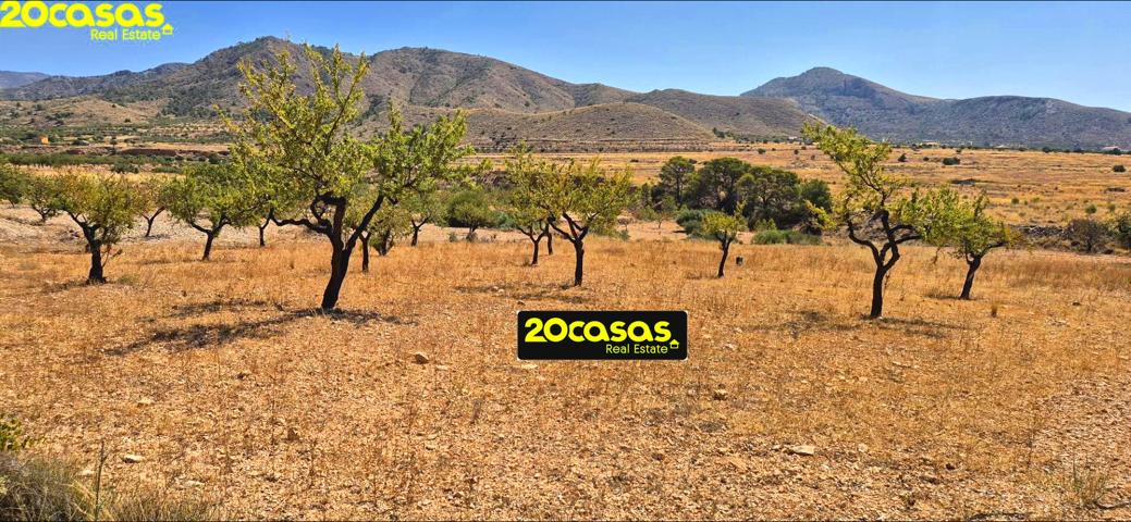 TERRENO AGRICOLO URBANIZABLE photo 0