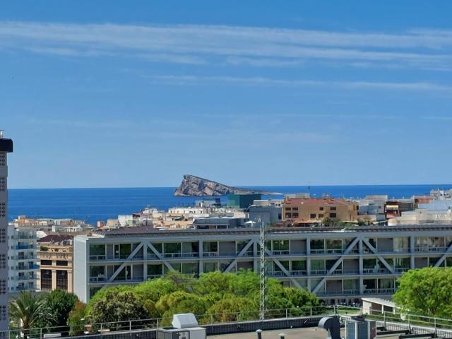 ZONA MERCADONA photo 0