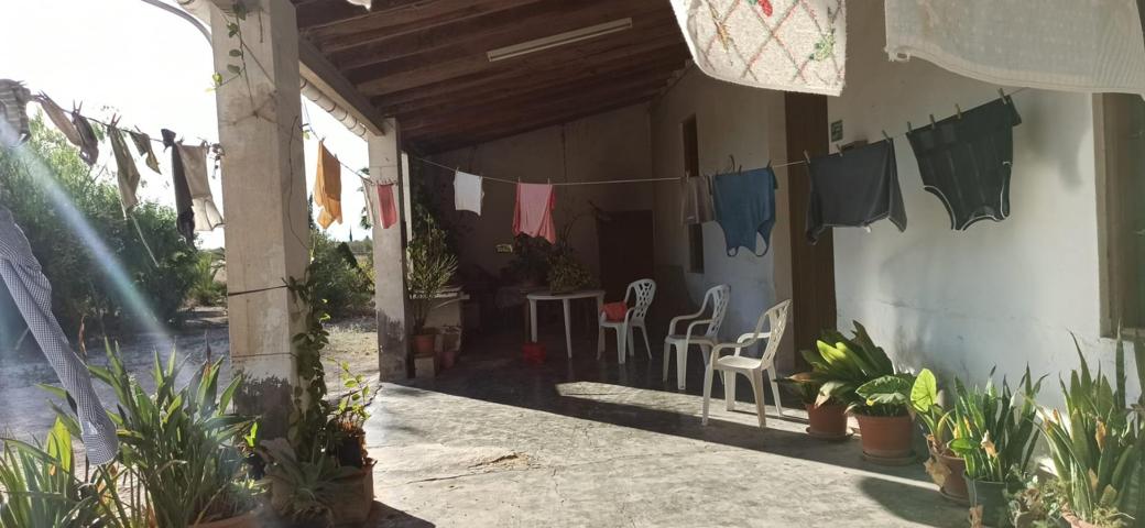 CASA DE CAMPO AUTOCTONA DE ELCHE photo 0