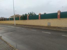 PARCELA URBANA EN ELCHE photo 0