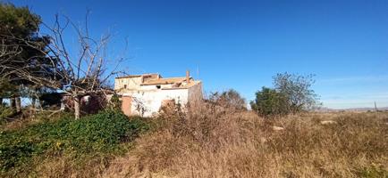 FINCA EN TORRELLANO photo 0