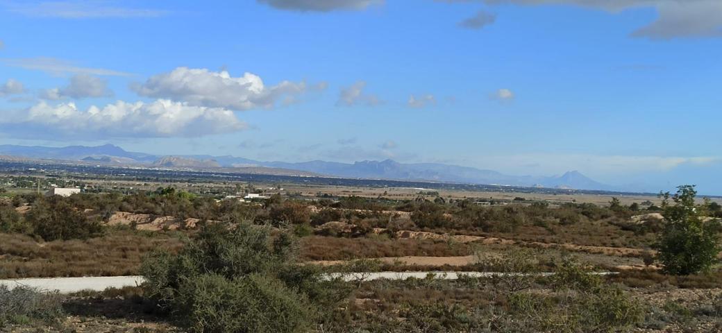 Finca Rústica en La Hoya, Elche photo 0