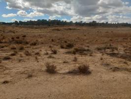 Parcela en Jumilla, ideal para construir una casa photo 0