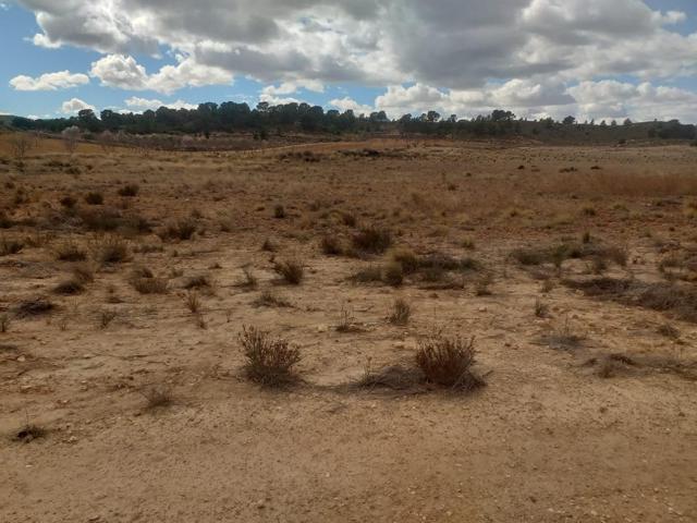 Parcela en Jumilla, ideal para construir una casa photo 0