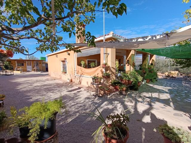 Encantadora Casa Rústica en Hondon de los Frailes con Amplio Terreno photo 0