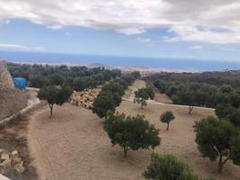 FINCA EN PRODUCCION photo 0