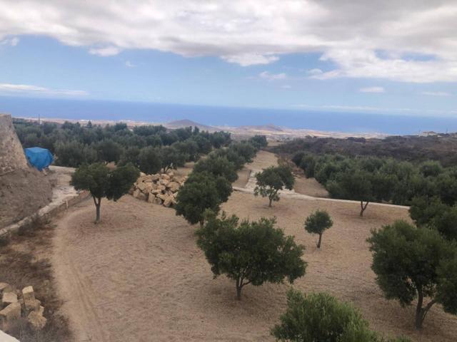 FINCA EN PRODUCCION photo 0