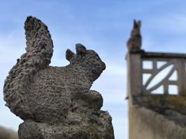 Casa con parcela a 5 minutos del Mar Menor photo 0