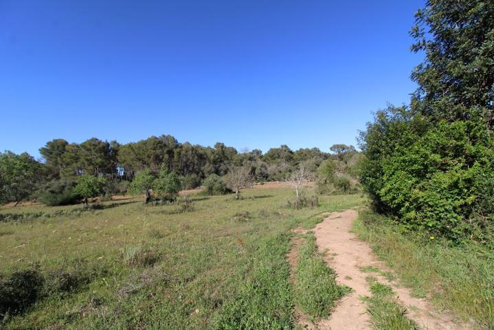 Casa De Campo En venta en Algaida Campo, Algaida photo 0