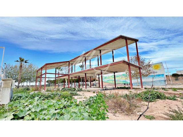 PARCELA + ESTRUCTURA + PROYECTO EN VENTA EN ALBALAT DELS SORELLS photo 0