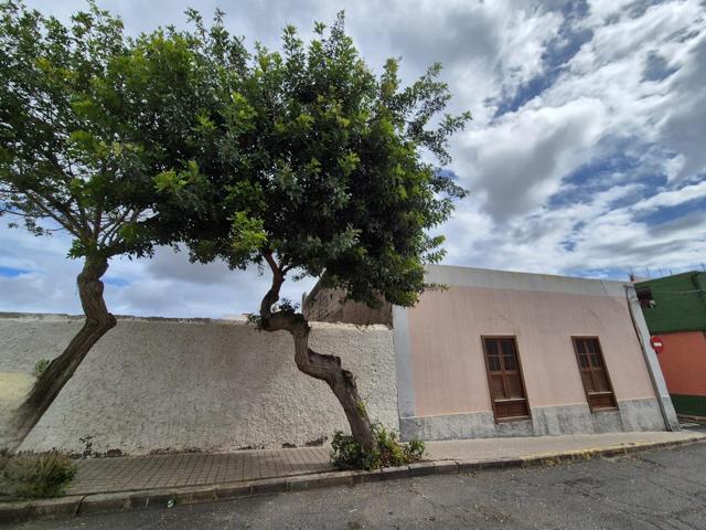 CASA TERRERA EN TELDE photo 0