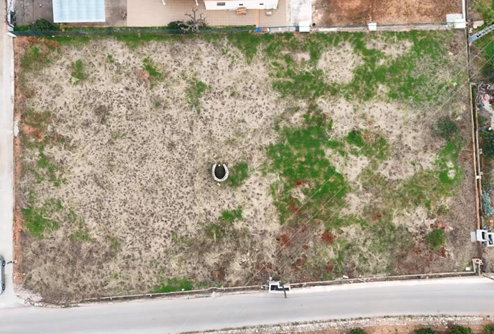 Terreno Rústico de 1.800 m² en Marchuquera, Palma de Gandía photo 0