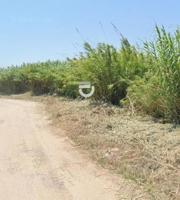 Terreno rústico en Cullera (Valencia) photo 0