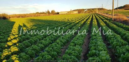 Se vende finca de 14000m2 Aprox en Huercal Overa (San Fracisco) photo 0