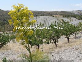 Se vende finca de 23 hectáreas a 15 minutos de Puerto Lumbreras photo 0