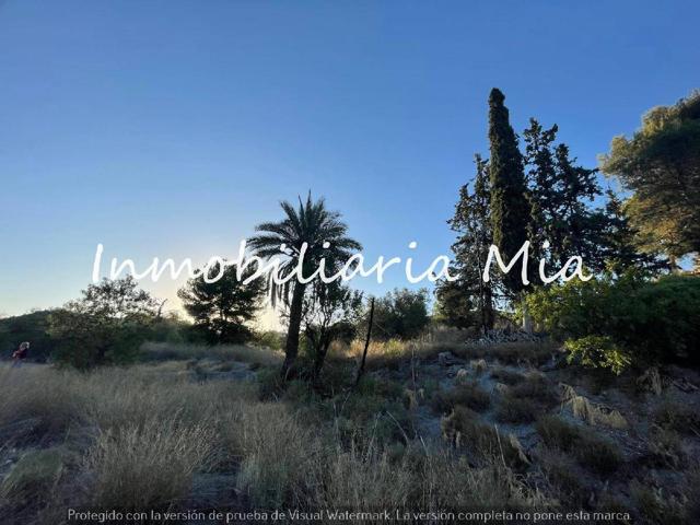 SE VENDE GRAN FINCA EN LORCA photo 0