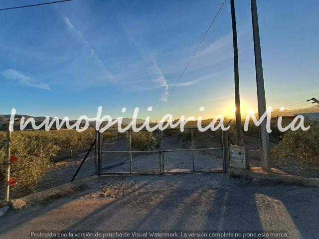 Se vende finca de 20.100m2 aprox, en Puerto Lumbrera photo 0