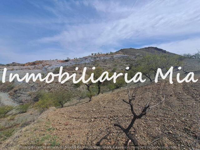 Se vende Finca con casa a reformar photo 0