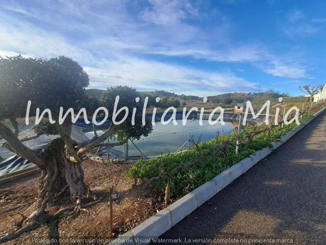 Finca de alta rentabilidad con viñedos selectos y completa infraestructura photo 0