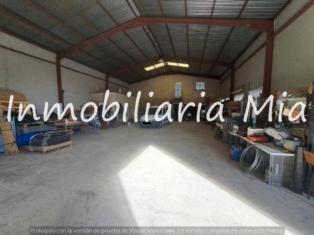 ¡Oportunidad Única! Vivero de 23,000 m² en Pleno Funcionamiento photo 0