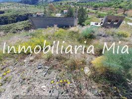 OPORTUNIDAD ÚNICA – FINCA DE 80.000 m² EN PARAJE NOGALTE, CON CASA Y CULTIVO EN PRODUCCIÓN photo 0