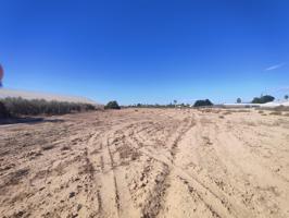 Terreno Urbanizable En venta en Elche - Elx, Elche photo 0