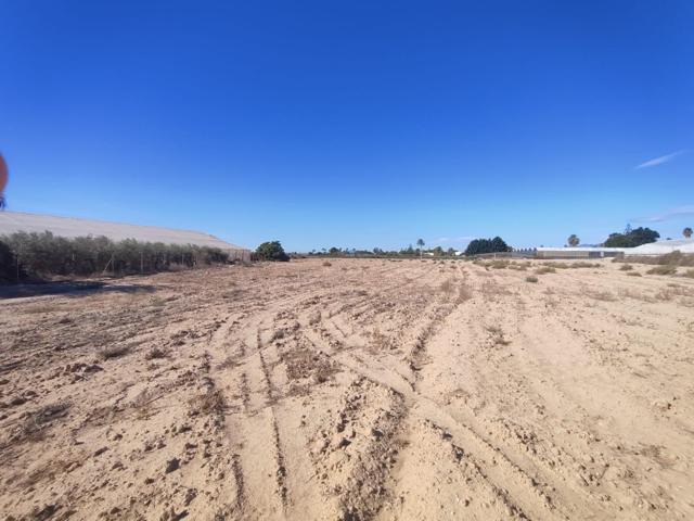 Terreno Urbanizable En venta en Elche - Elx, Elche photo 0