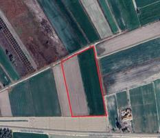 Terreno Urbanizable En venta en Crevillente, Crevillent photo 0